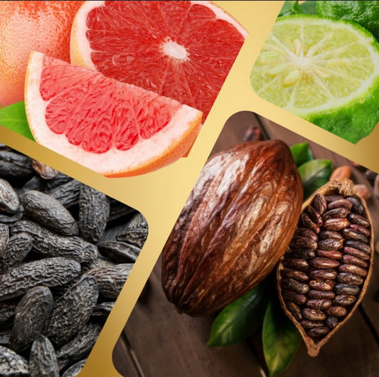 Inspired by Bad Boy - H40 Compelling Martin Lion