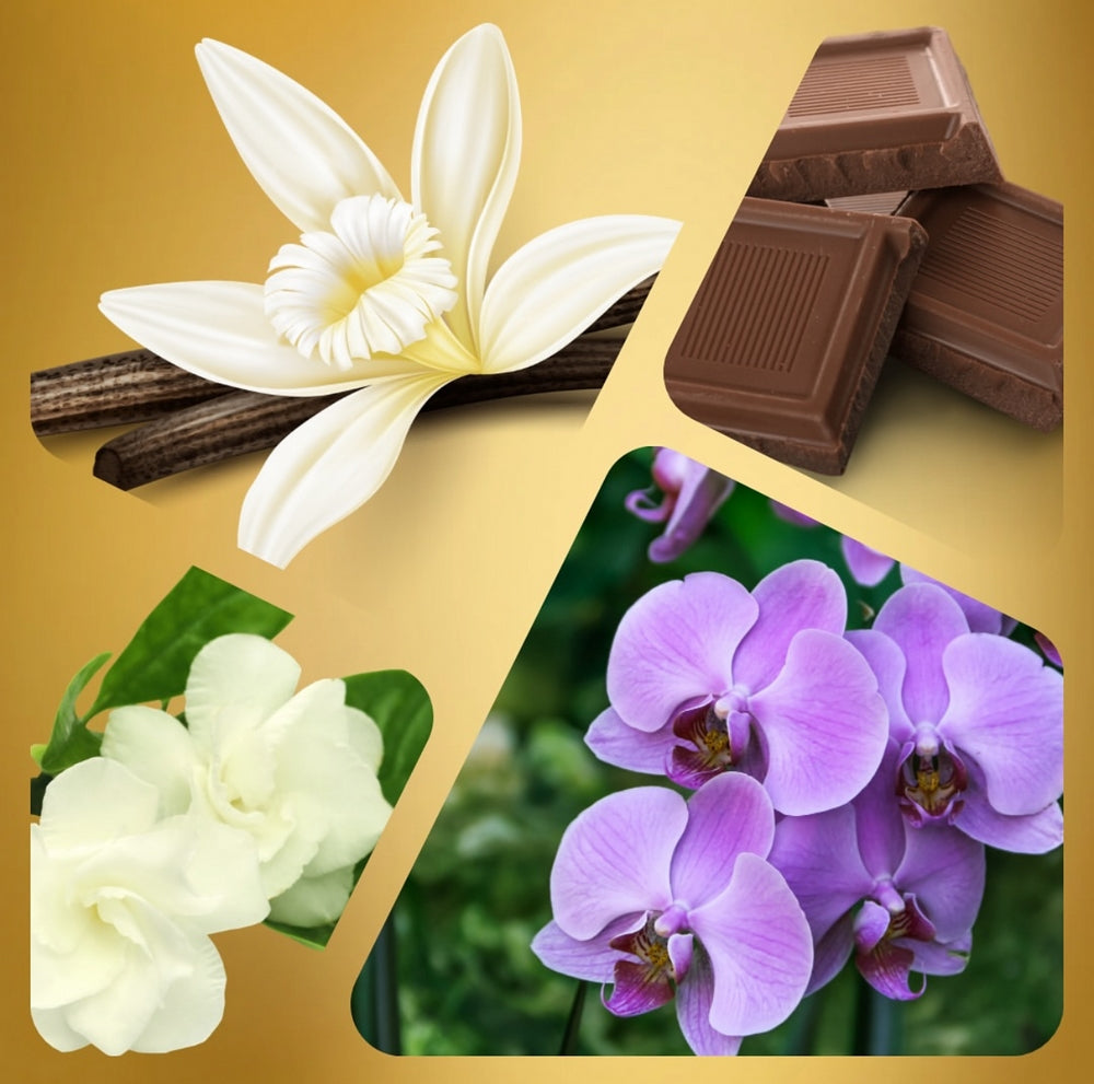 Inspired by Black Orchid - U05 Stolen Dance Martin Lion