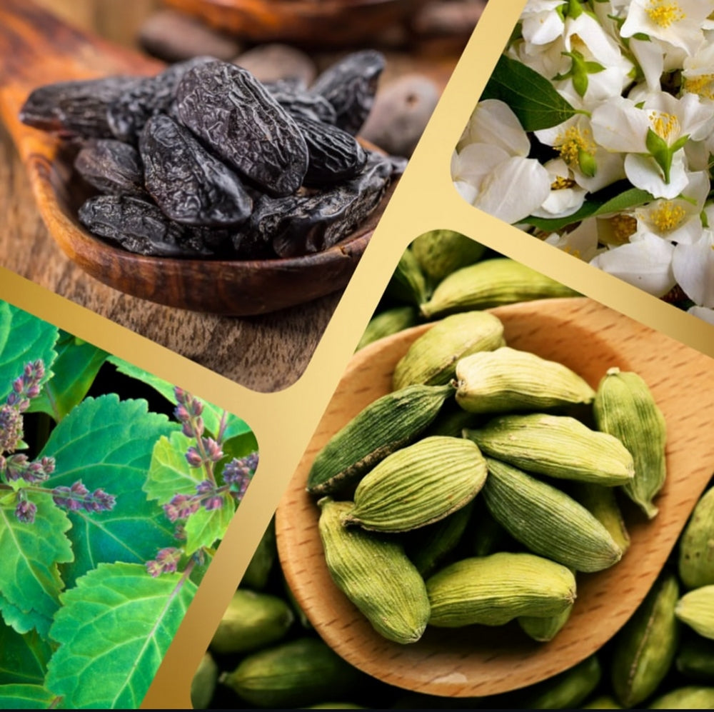 Inspired by Madawi 40 Years Gold Edition - U23 First Ralpitation Martin Lion